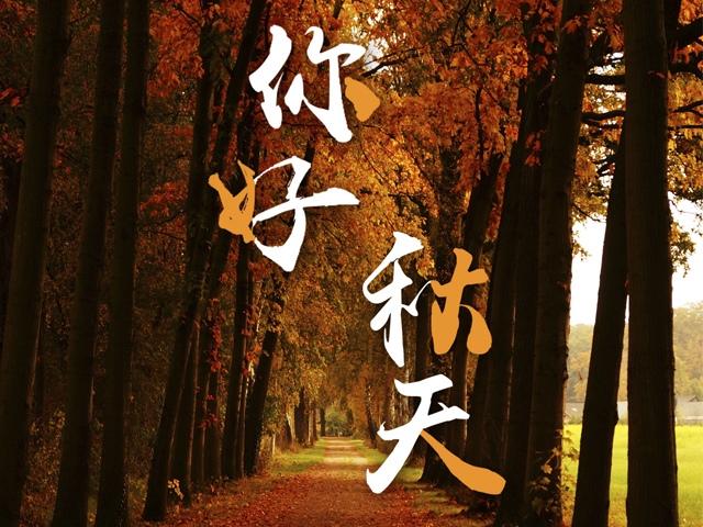 秋天你好