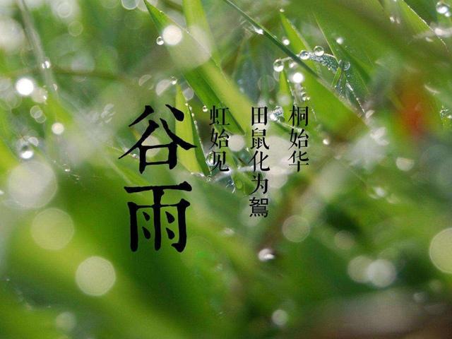 谷雨