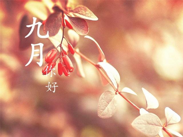 九月你好