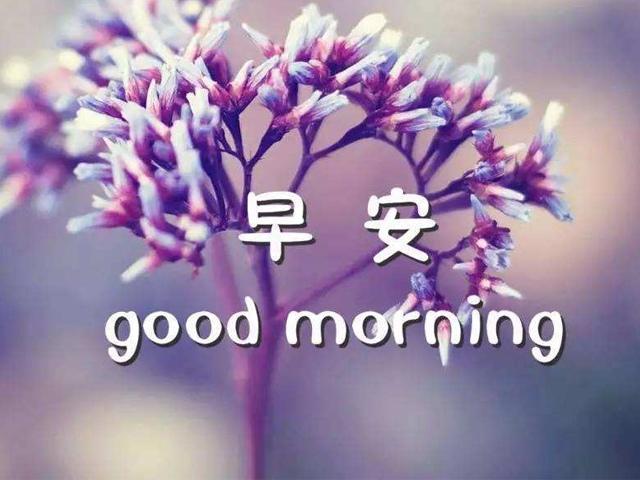 早安心语