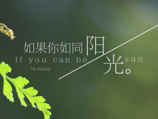 阳光正好 微风不噪