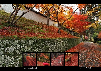 日本独具一格大自然红