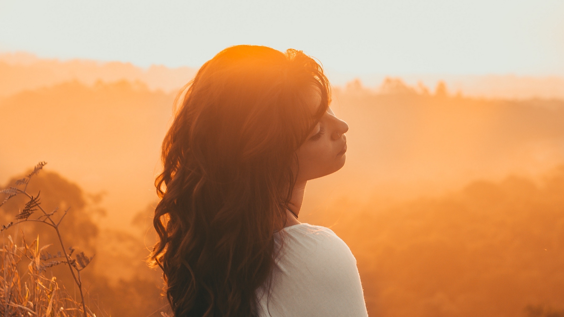 她给了你朦胧的美