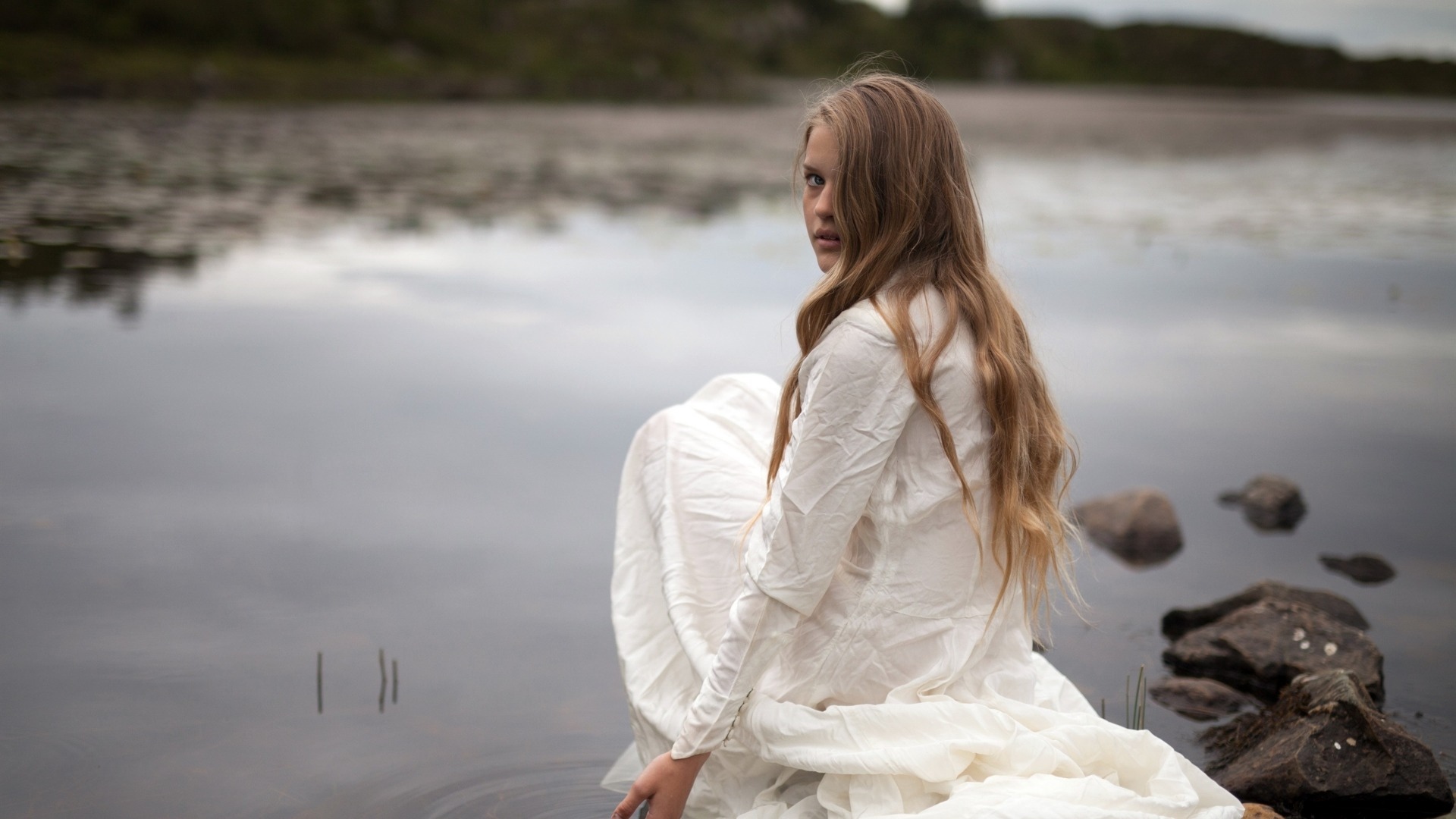 不乱于心，不困于情