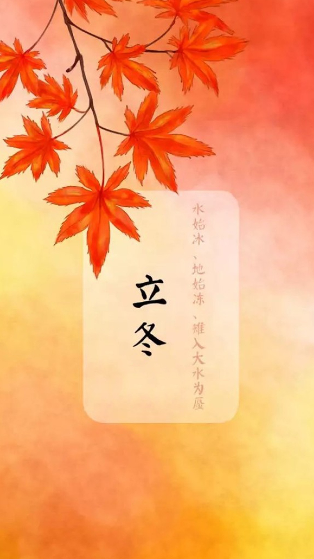 立冬时节枫叶红