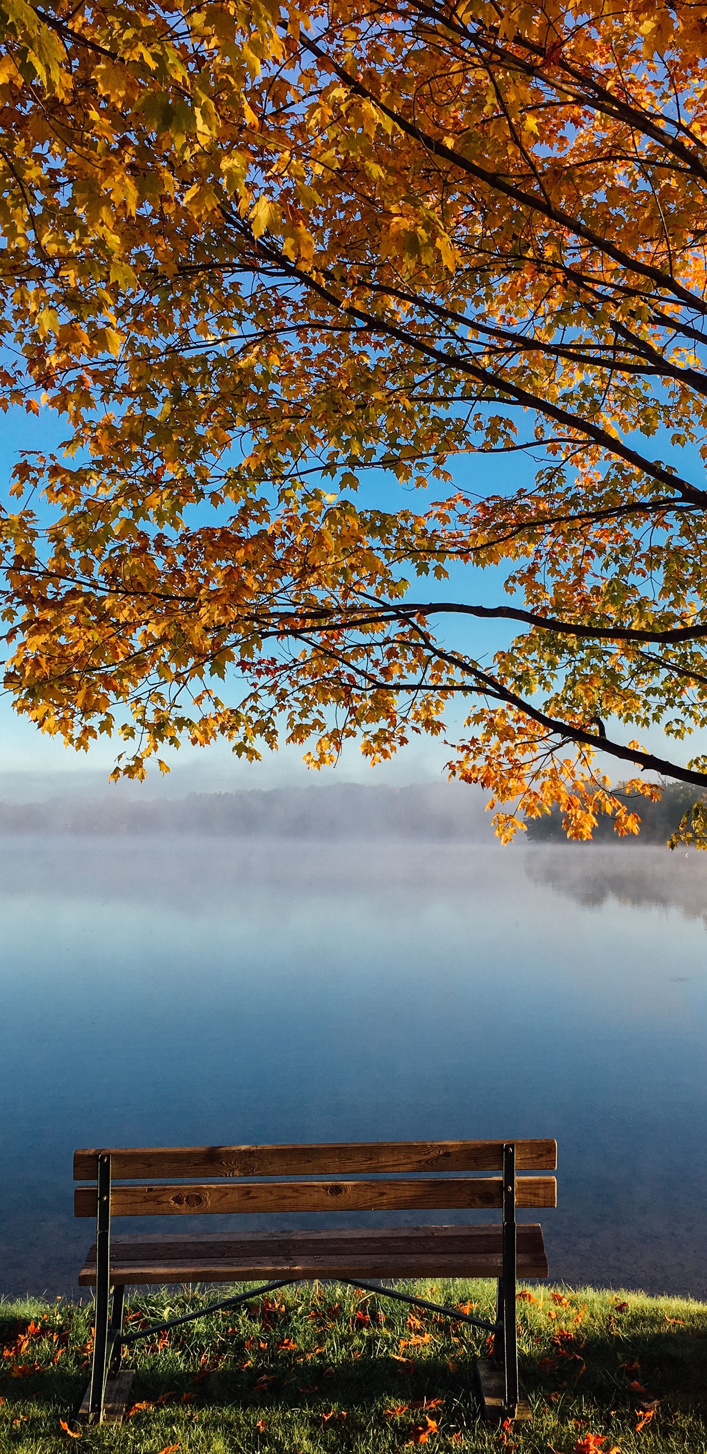 宁静的秋景美不胜收
