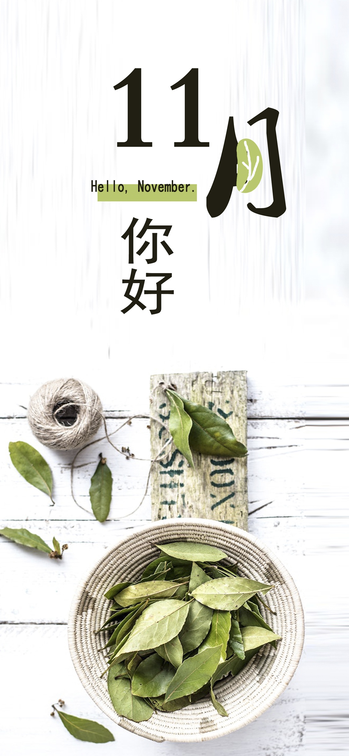 11月你好,小清新早安茶叶