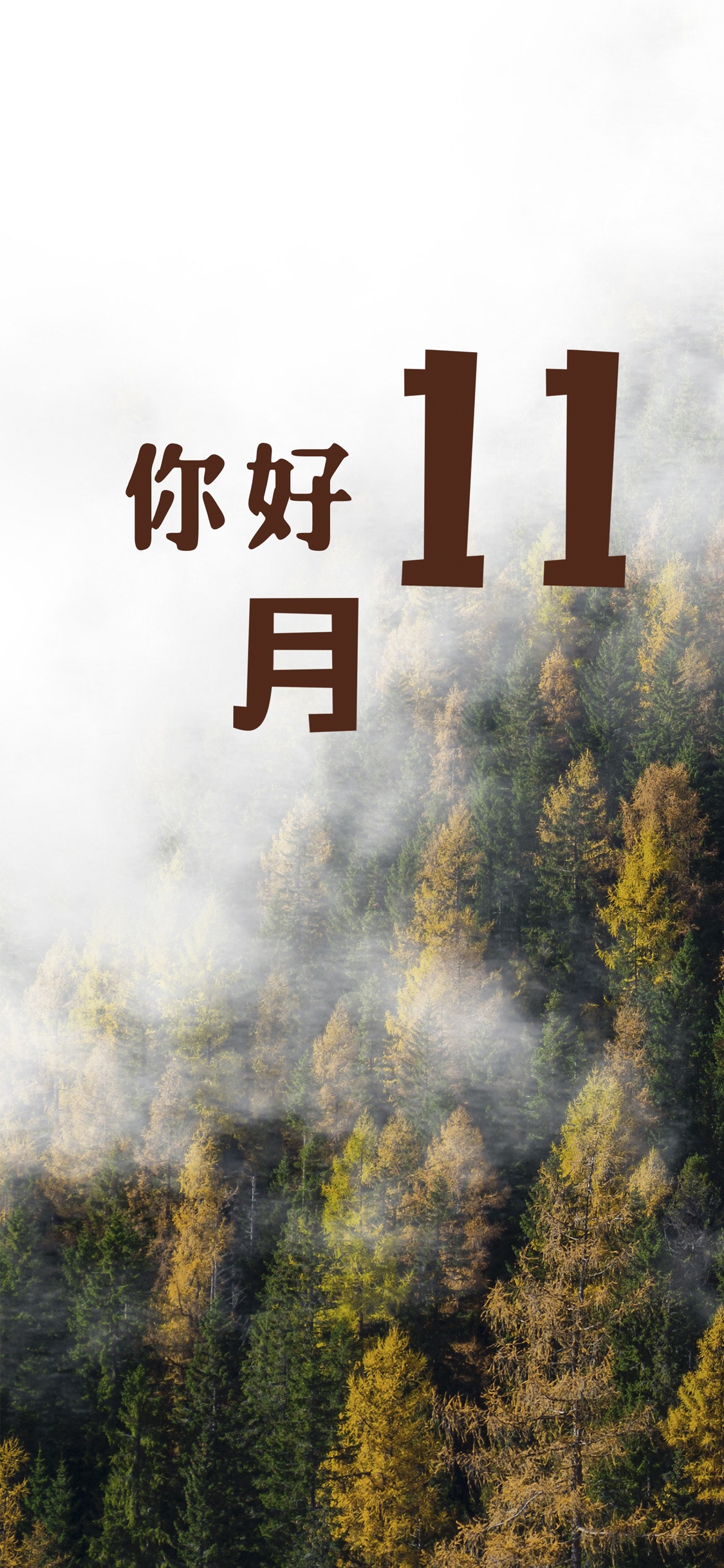 你好十一月,多看几道风景