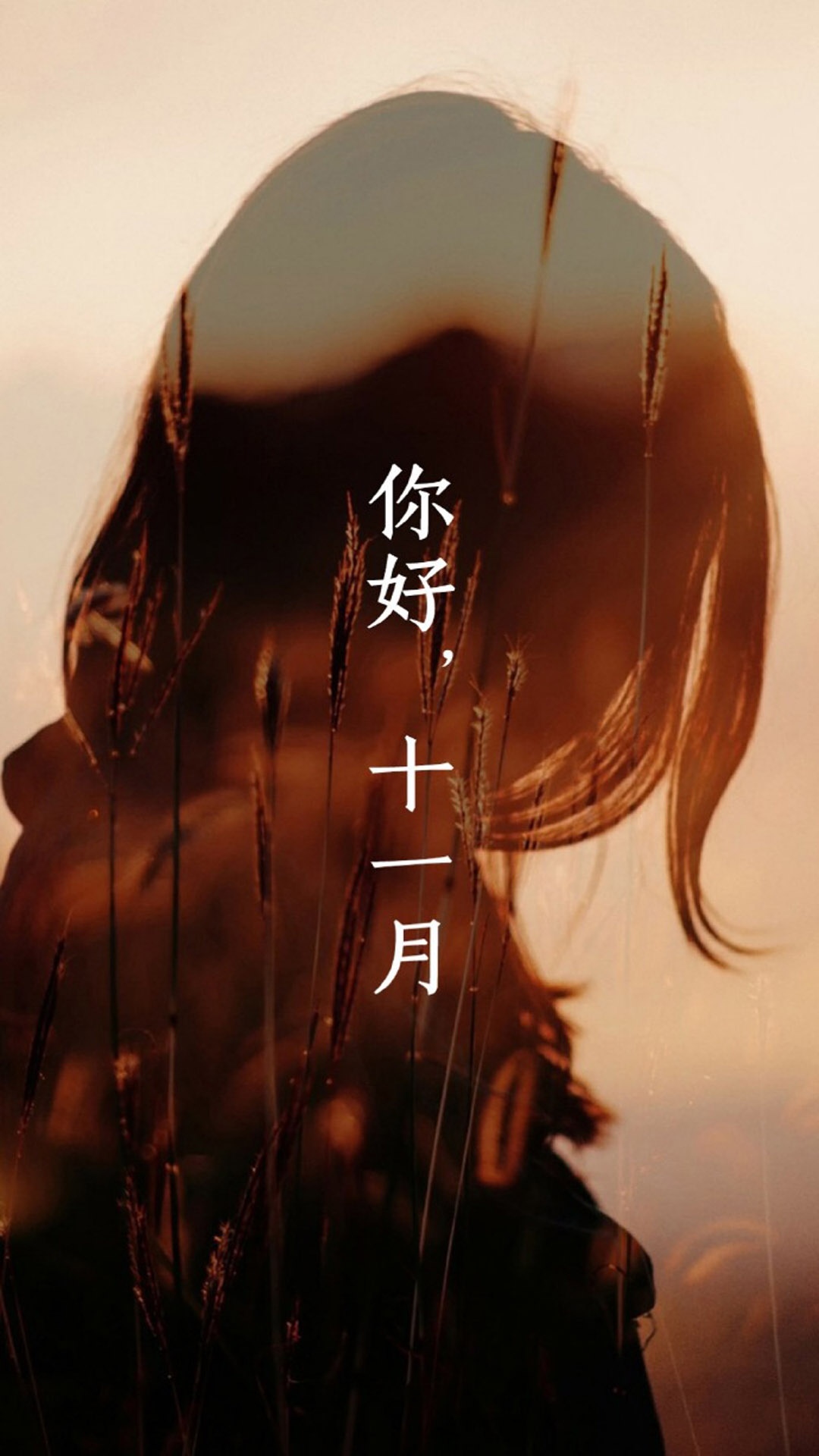 我知道,十一月来了