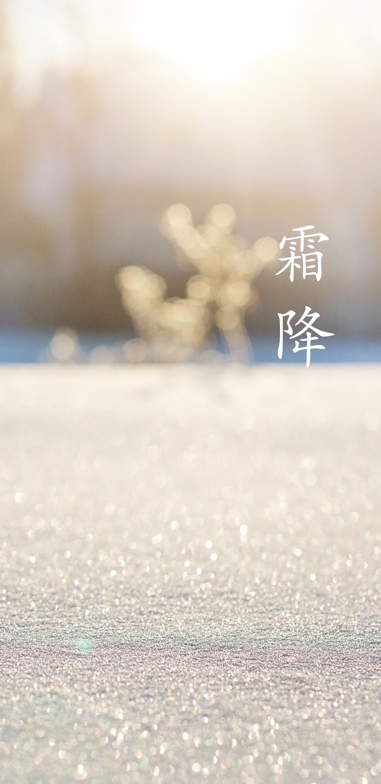 霜降时节霜满天