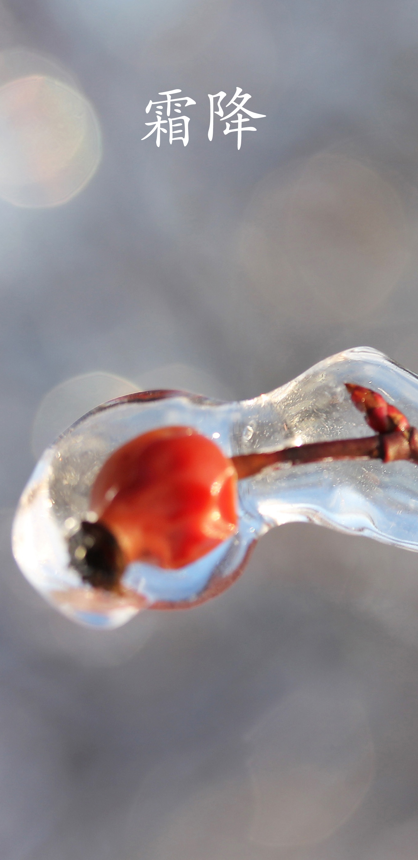 霜降时节好运来