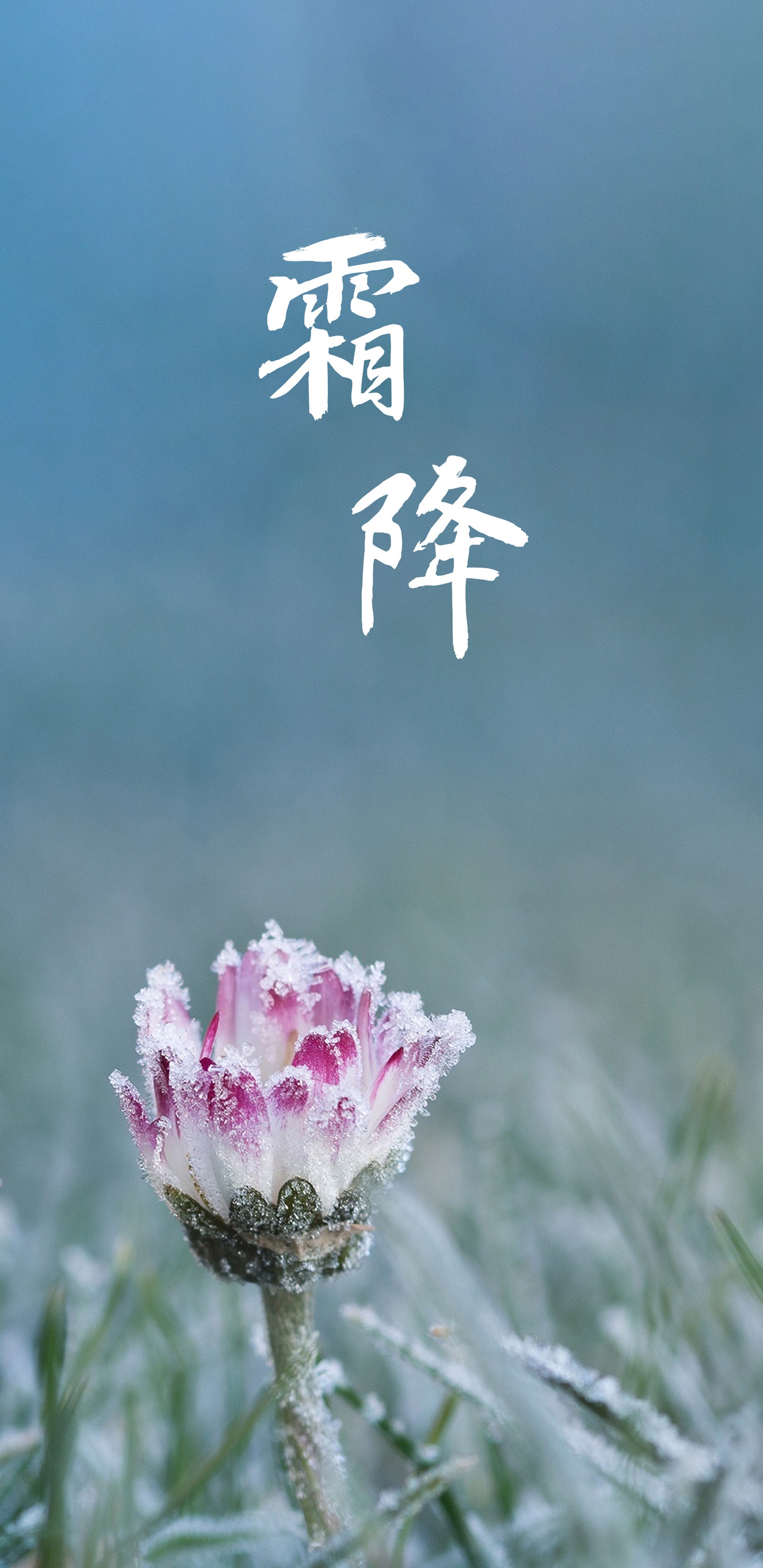 霜降节时清池浅