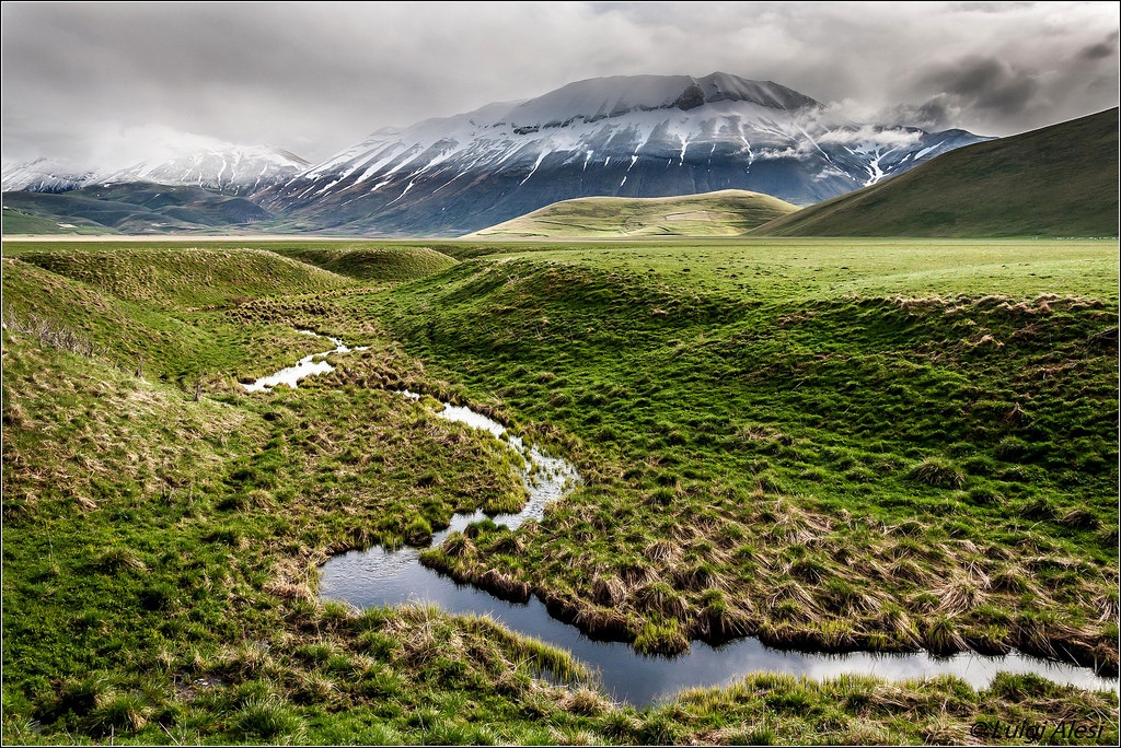 蜿蜿蜒蜒的草原