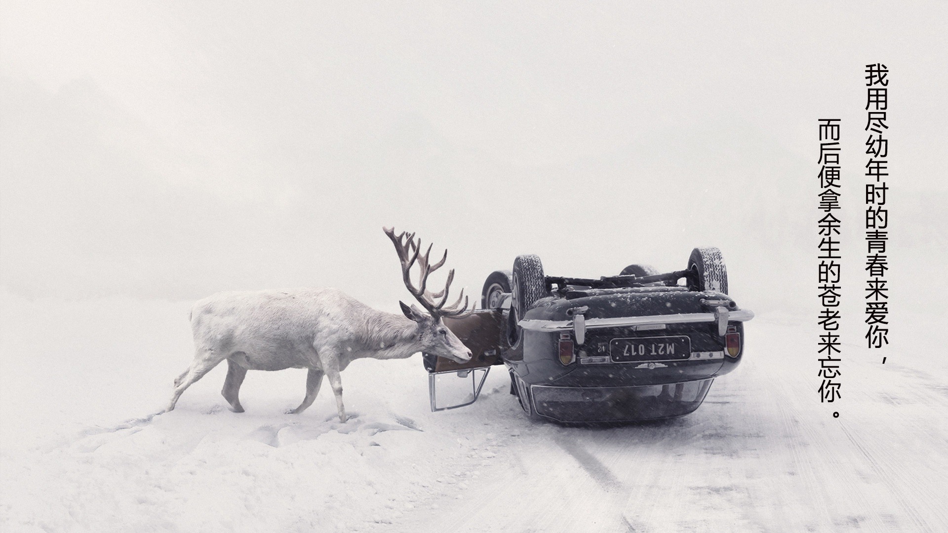 对现实生活心累的伤感说说