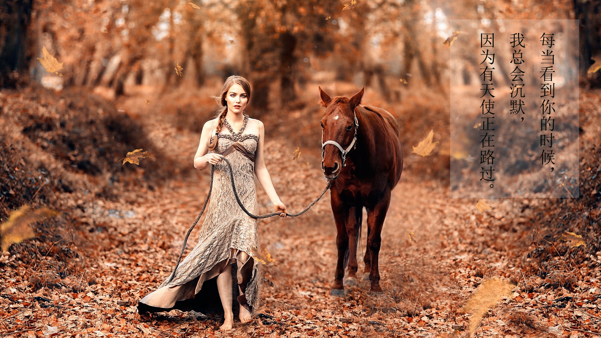 简短暖心告白情话图片