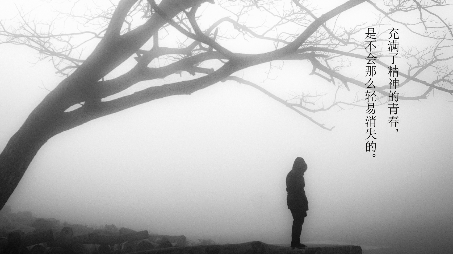 2018年励志经典语录图片