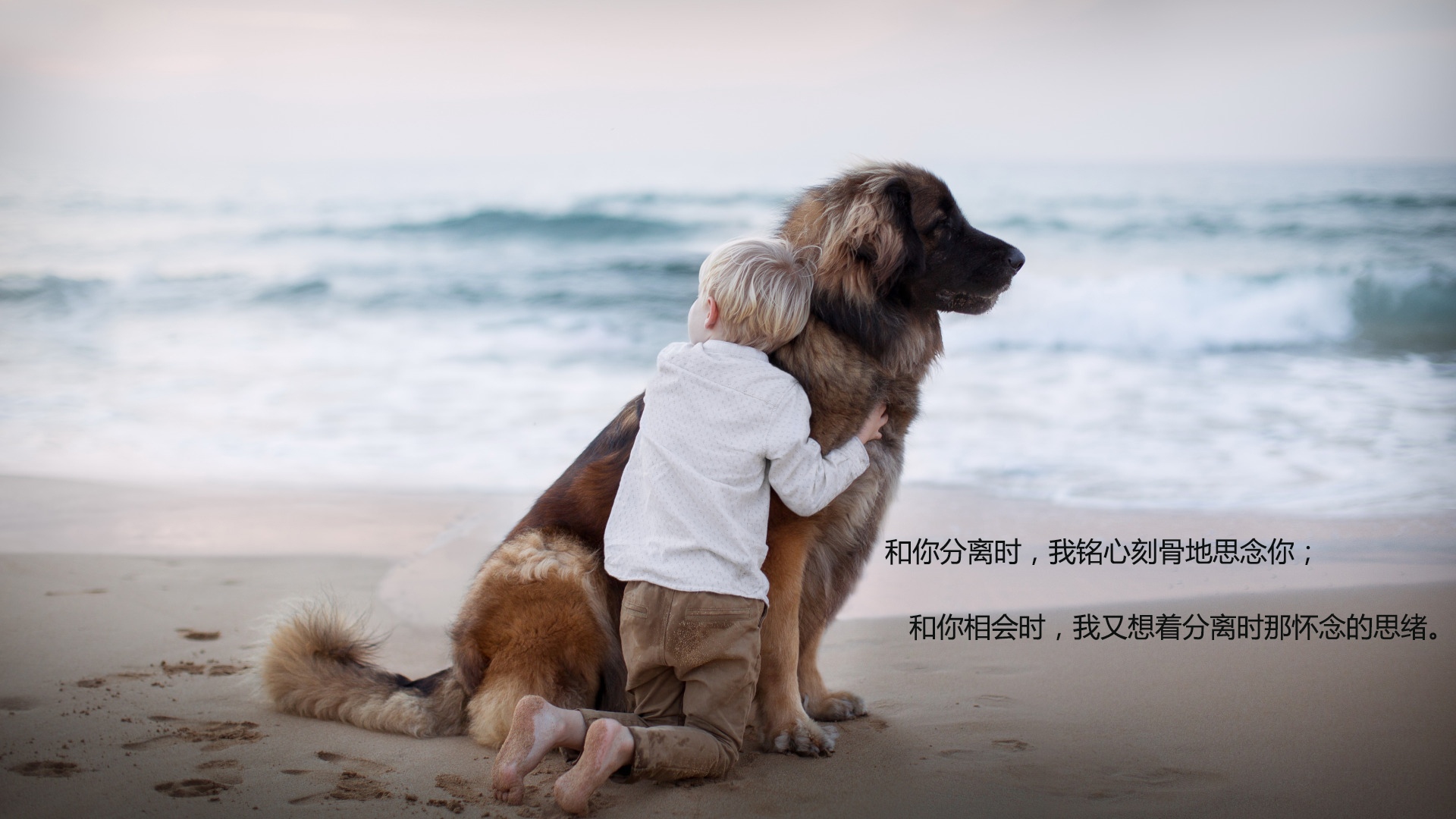 舍不得也要放弃的悲伤说说