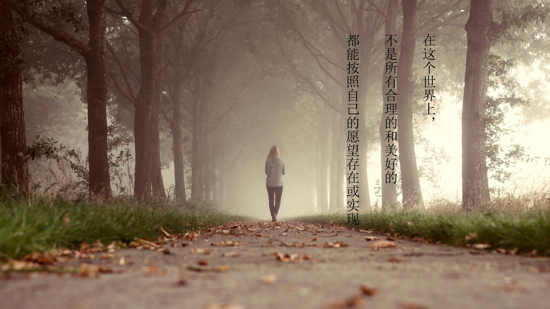 平凡的世界好词图片