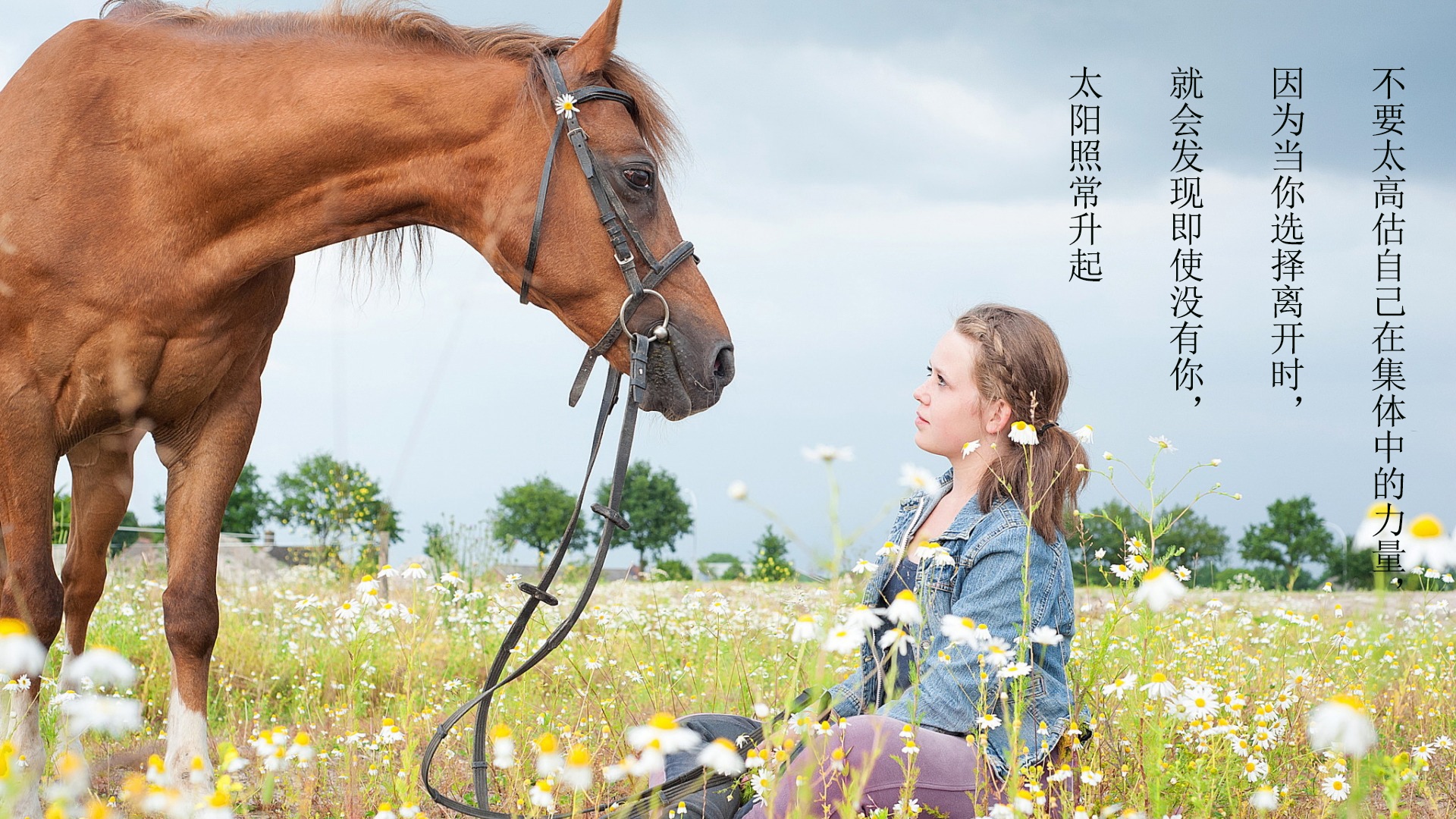 很现实又有道理的句子图片