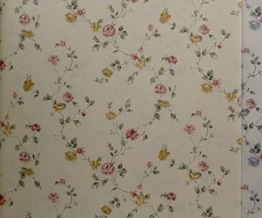 无纺纸材质爱德堡