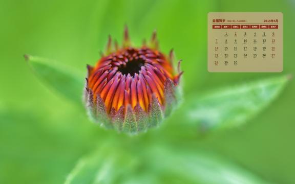 2019年4月春暖花开的时节日历
