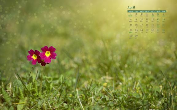 2019年4月春暖花开的时节日历