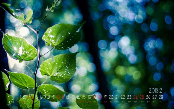 2018年早春2月日历
