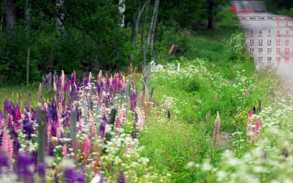 2018年9月走向自然唯美风光日历