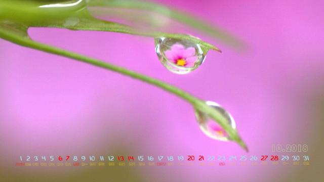 2018年10月露水日历