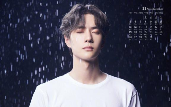 2018年11月璀璨少年王一博雨景日历