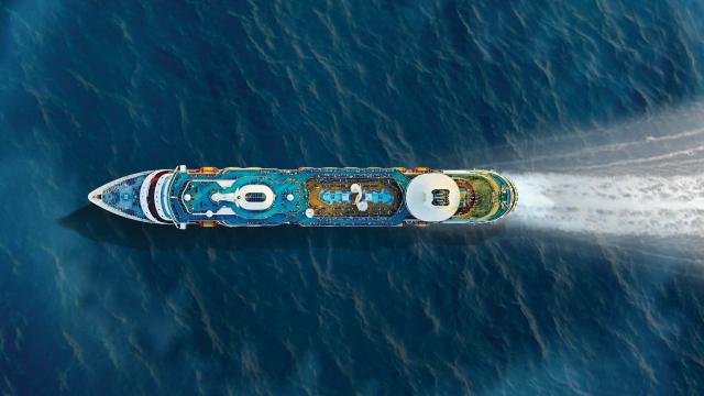 巨齿鲨 The Meg (2018)