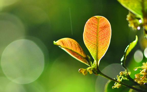  每一刻都有惊喜