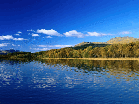 win7动态唯美风光