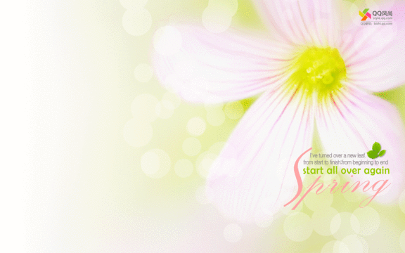 win7动态植物花卉