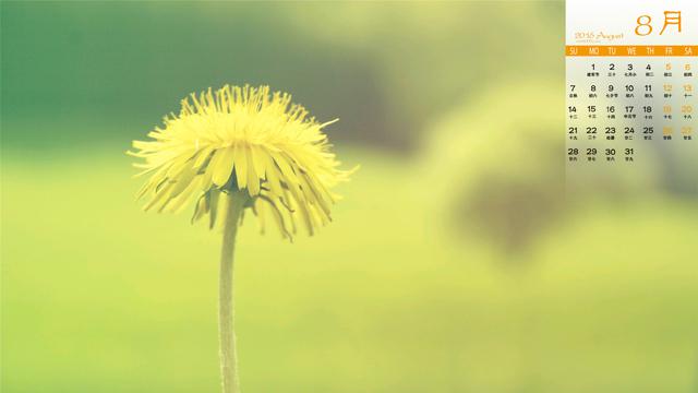 2016年8月清新日历