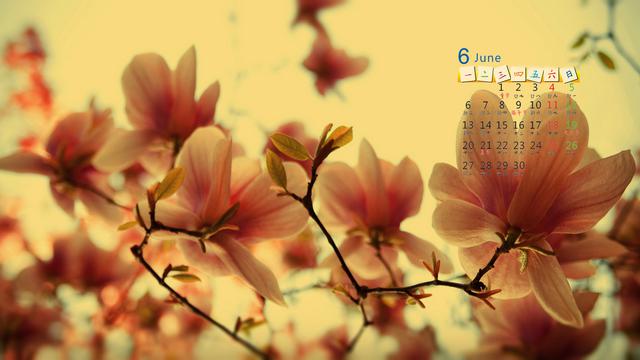 ​2016年6月日历