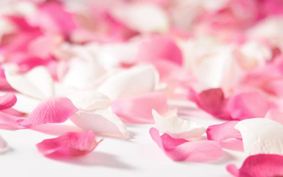 浪漫七夕玫瑰传情