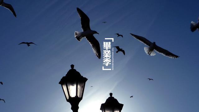 又是一年毕业季