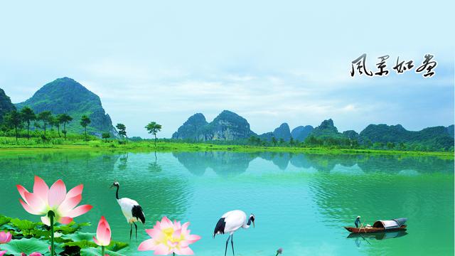 中国风工笔画荷花