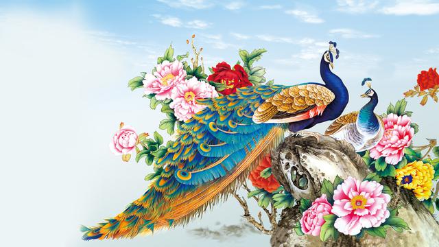 孔雀牡丹工笔画