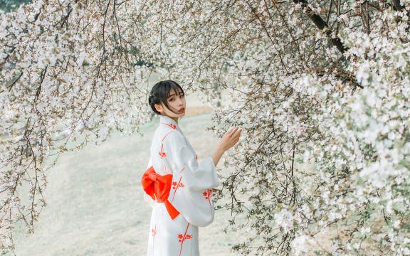 和服美女漫步在花海中