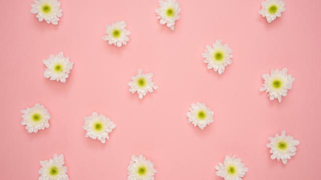 唯美的花，文艺的感觉