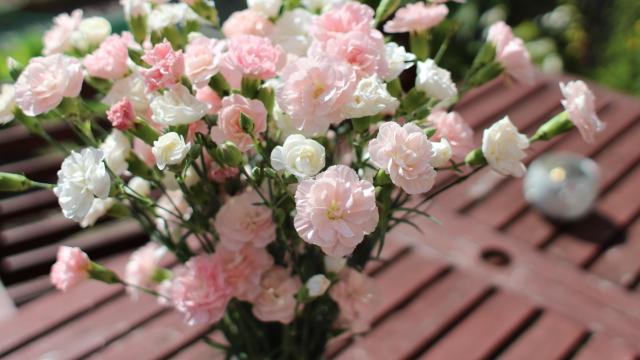 教师节为什么送康乃馨