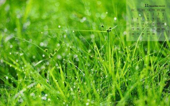 2018年11月绿色植物护眼日历
