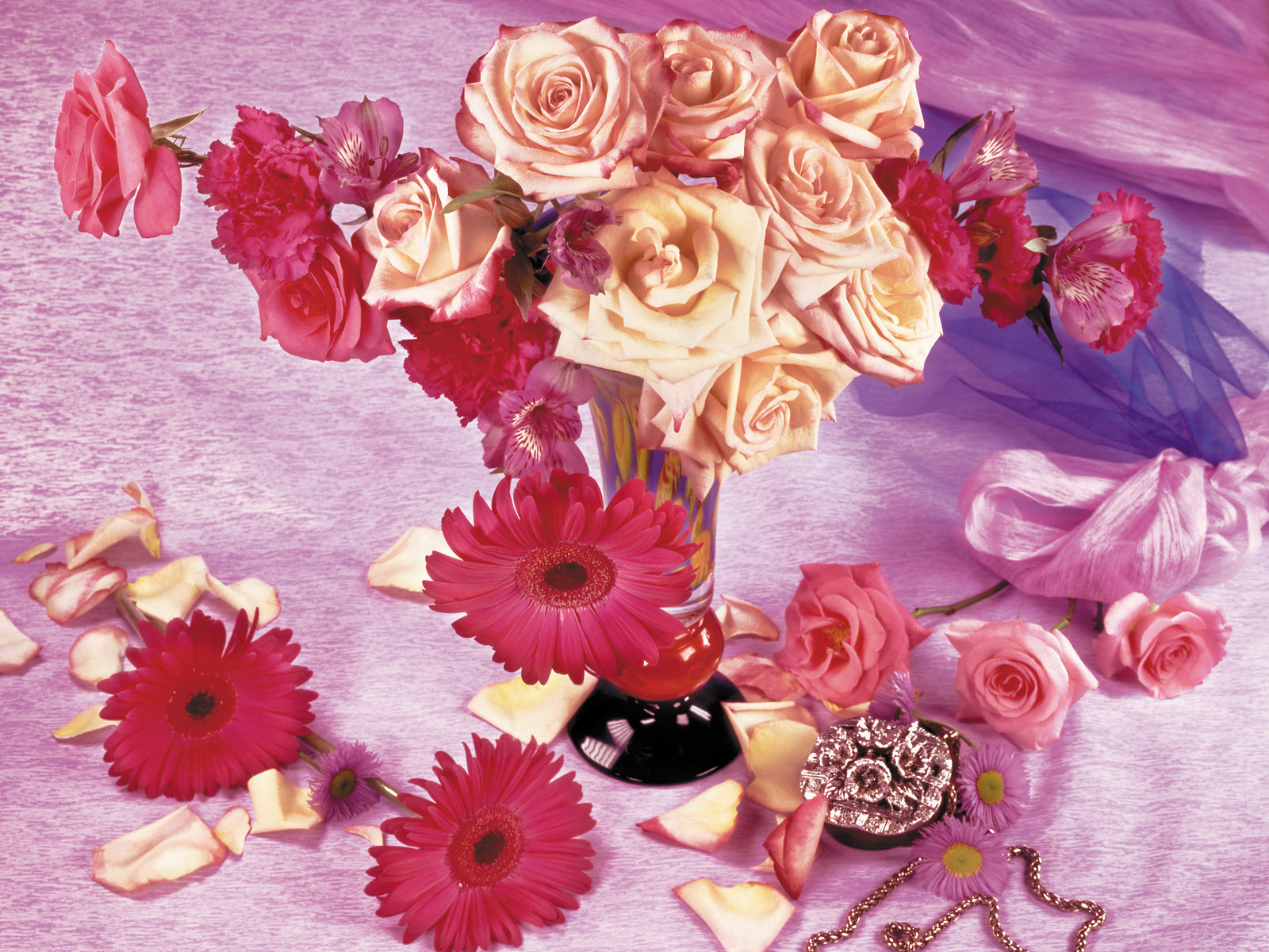 壁纸,花卉,擦花,高清,宽屏