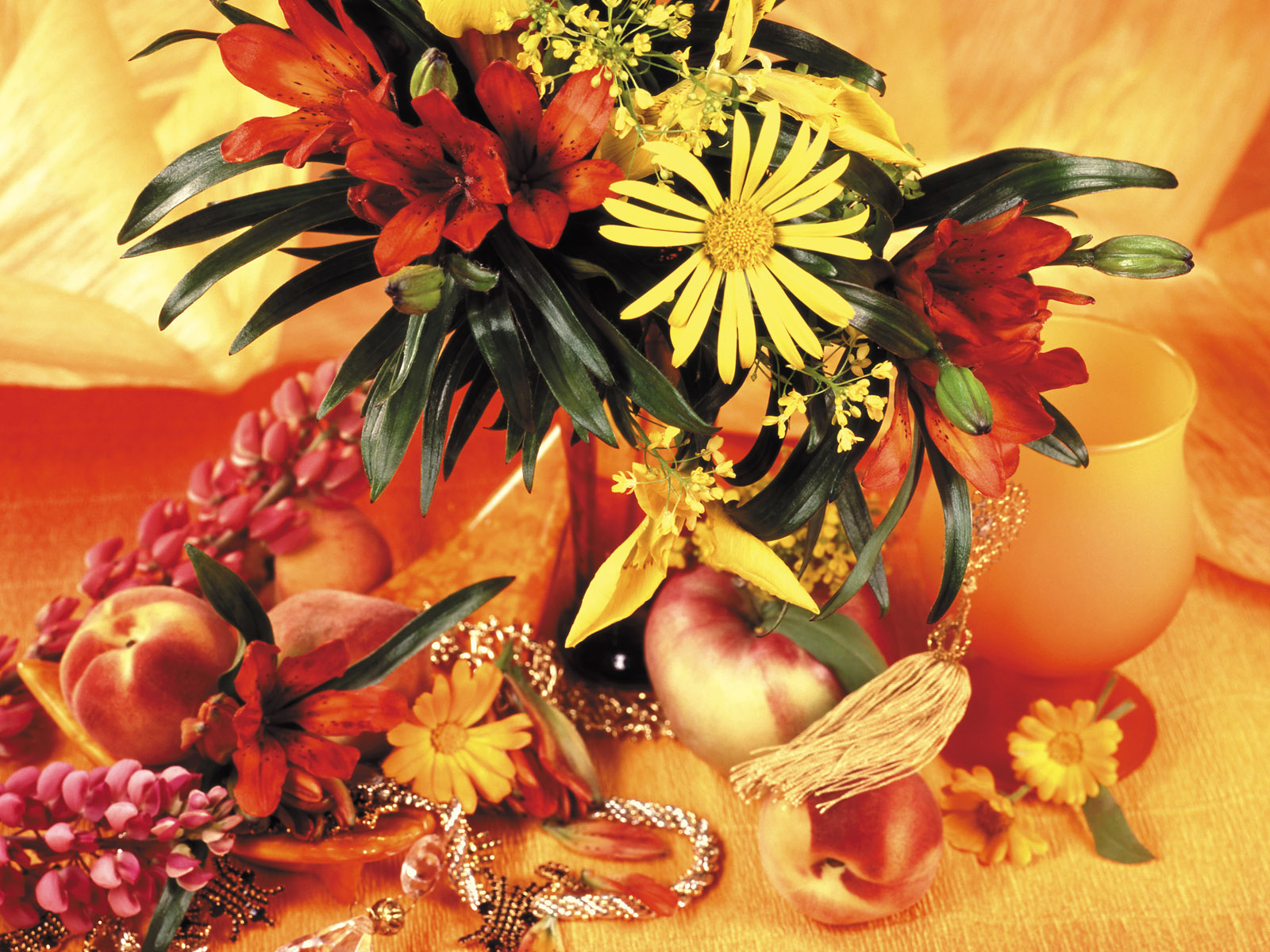 壁纸,花卉,擦花,高清,宽屏