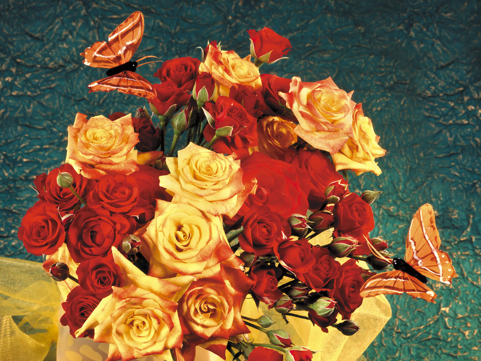 壁纸,花卉,擦花,高清,宽屏