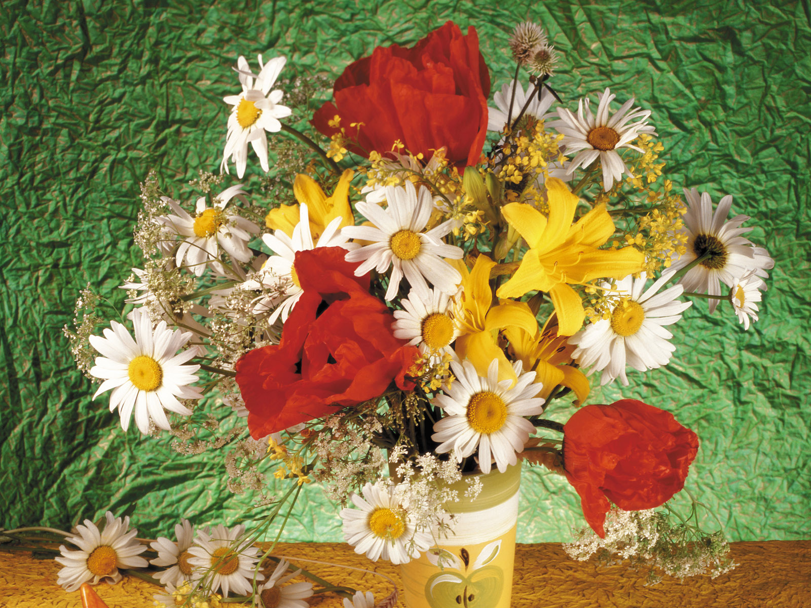 壁纸,花卉,擦花,高清,宽屏