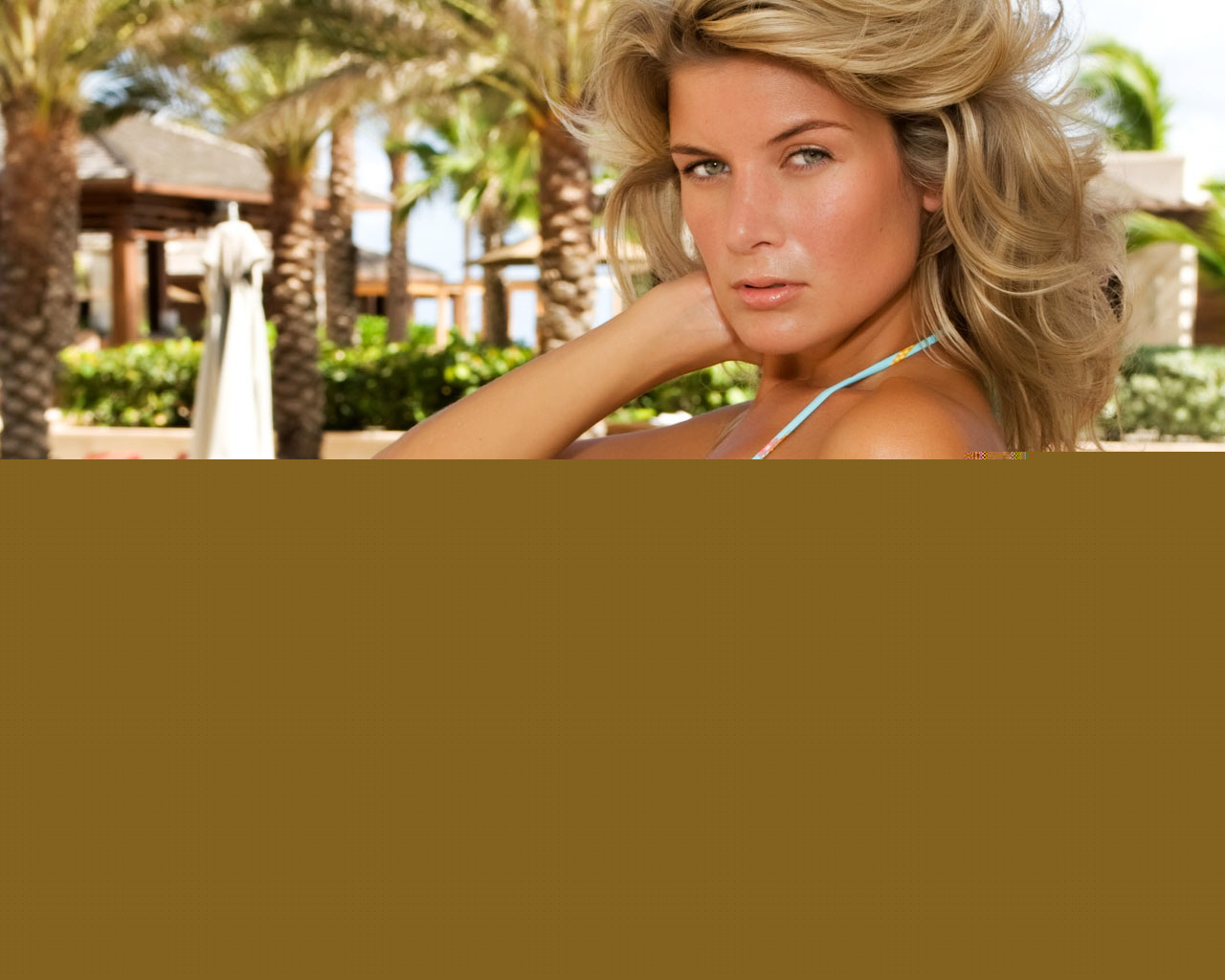 壁纸,高清,宽屏,美女,世界小姐,性感美女