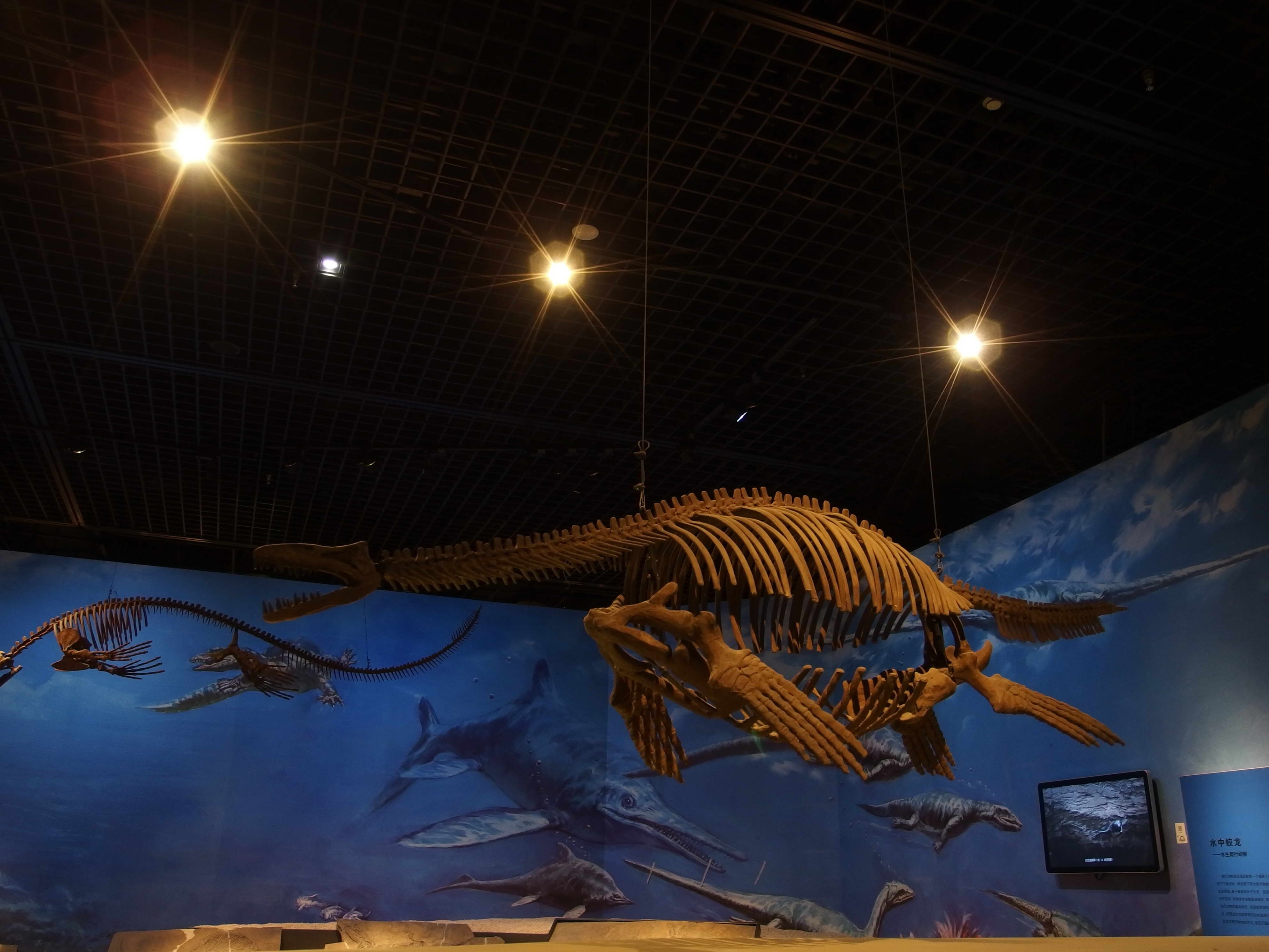 天津自然博物馆